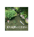 和のごあいさつ（個別スタンプ：14）