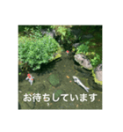 和のごあいさつ（個別スタンプ：15）