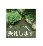 和のごあいさつ（個別スタンプ：16）
