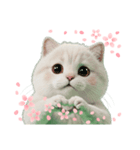 【ハート猫】（個別スタンプ：7）