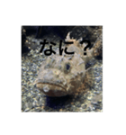 さかな気分（個別スタンプ：1）