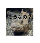 さかな気分（個別スタンプ：5）