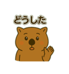 ウォンバットの独り言（個別スタンプ：4）