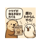 貝の反抗期と小鳥（個別スタンプ：13）