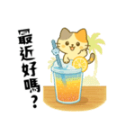 小発喵・さわやか夏スタンプ（個別スタンプ：1）