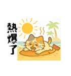小発喵・さわやか夏スタンプ（個別スタンプ：4）