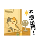 小発喵・さわやか夏スタンプ（個別スタンプ：16）