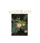 OKOの日常一コマ（個別スタンプ：9）