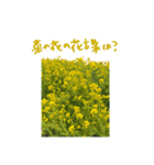 OKOの日常一コマ（個別スタンプ：11）