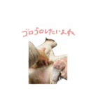 OKOの日常一コマ（個別スタンプ：13）