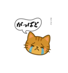 方言猫（津軽弁編③）（個別スタンプ：6）