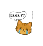方言猫（津軽弁編③）（個別スタンプ：9）