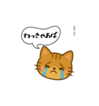方言猫（津軽弁編③）（個別スタンプ：13）