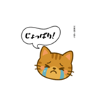 方言猫（津軽弁編③）（個別スタンプ：24）