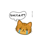 方言猫（津軽弁編③）（個別スタンプ：37）