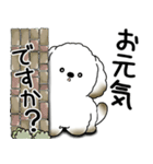 わんちゃん 2025 「いつもよく使う言葉」（個別スタンプ：2）