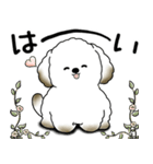 わんちゃん 2025 「いつもよく使う言葉」（個別スタンプ：7）