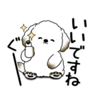 わんちゃん 2025 「いつもよく使う言葉」（個別スタンプ：12）