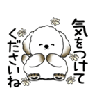 わんちゃん 2025 「いつもよく使う言葉」（個別スタンプ：13）
