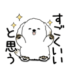 わんちゃん 2025 「いつもよく使う言葉」（個別スタンプ：16）