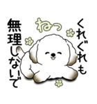 わんちゃん 2025 「いつもよく使う言葉」（個別スタンプ：17）