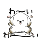 わんちゃん 2025 「いつもよく使う言葉」（個別スタンプ：20）