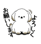 わんちゃん 2025 「いつもよく使う言葉」（個別スタンプ：23）