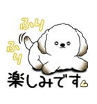 わんちゃん 2025 「いつもよく使う言葉」（個別スタンプ：24）