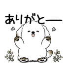 わんちゃん 2025 「いつもよく使う言葉」（個別スタンプ：27）