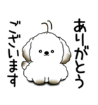 わんちゃん 2025 「いつもよく使う言葉」（個別スタンプ：28）