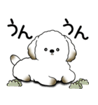 わんちゃん 2025 「いつもよく使う言葉」（個別スタンプ：29）