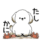 わんちゃん 2025 「いつもよく使う言葉」（個別スタンプ：30）