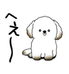 わんちゃん 2025 「いつもよく使う言葉」（個別スタンプ：31）