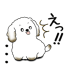 わんちゃん 2025 「いつもよく使う言葉」（個別スタンプ：33）