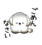 わんちゃん 2025 「いつもよく使う言葉」（個別スタンプ：36）