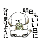 わんちゃん 2025 「いつもよく使う言葉」（個別スタンプ：40）