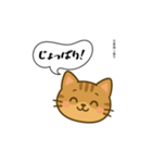 方言猫（津軽弁編①）（個別スタンプ：24）