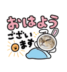 三兄弟と愉快な保護猫達シリーズ③（個別スタンプ：15）