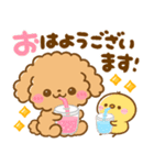 梅雨初夏♡トイプードルとぺんぺん（個別スタンプ：5）