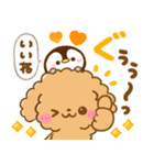 梅雨初夏♡トイプードルとぺんぺん（個別スタンプ：13）