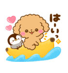梅雨初夏♡トイプードルとぺんぺん（個別スタンプ：18）