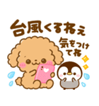 梅雨初夏♡トイプードルとぺんぺん（個別スタンプ：31）
