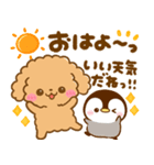 梅雨初夏♡トイプードルとぺんぺん（個別スタンプ：37）