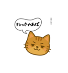 方言猫（津軽弁編④）（個別スタンプ：13）