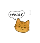 方言猫（津軽弁編④）（個別スタンプ：19）