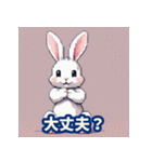 もちもち白ウサギのあいさつスタンプ40（個別スタンプ：37）