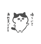 関西弁のハチワレねこさん（個別スタンプ：2）