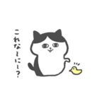 関西弁のハチワレねこさん（個別スタンプ：3）