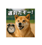 熱血な柴犬（個別スタンプ：1）