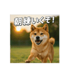 熱血な柴犬（個別スタンプ：2）